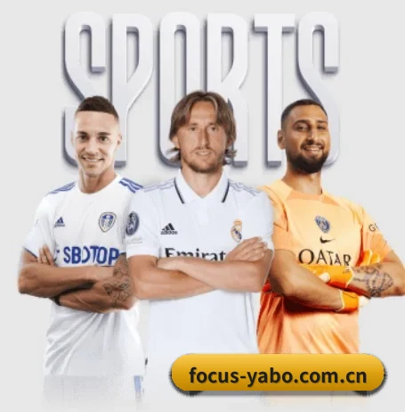 focus-yabo.com.cn的方向 - 长期内容价值积累